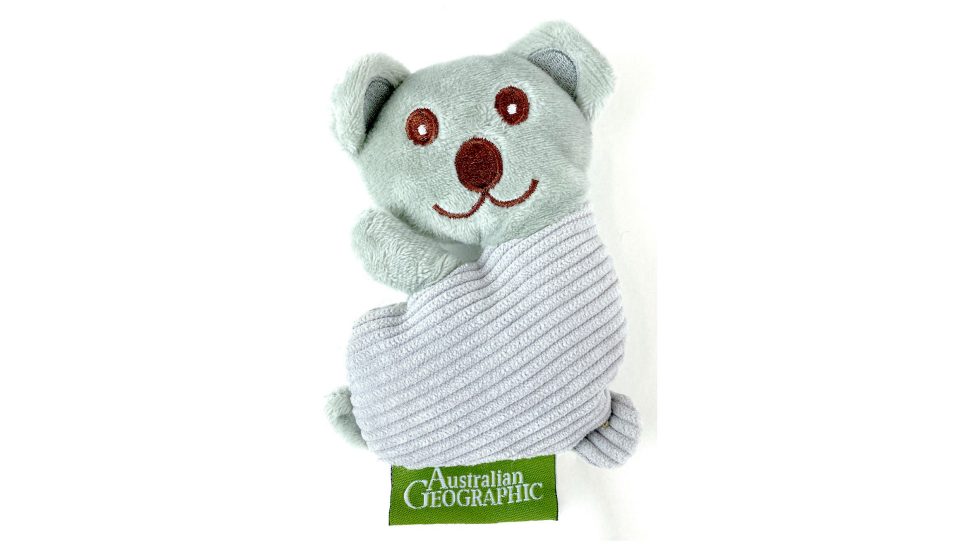 Australian Geographic Mini Heatable Koala